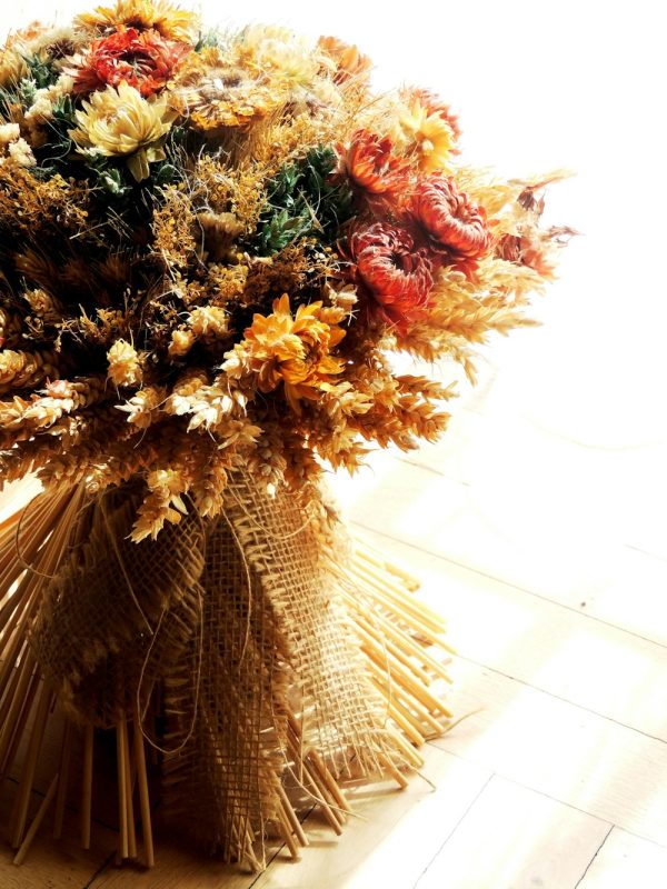 A dried flower bunch in warm ochre, orange and muted red tones.