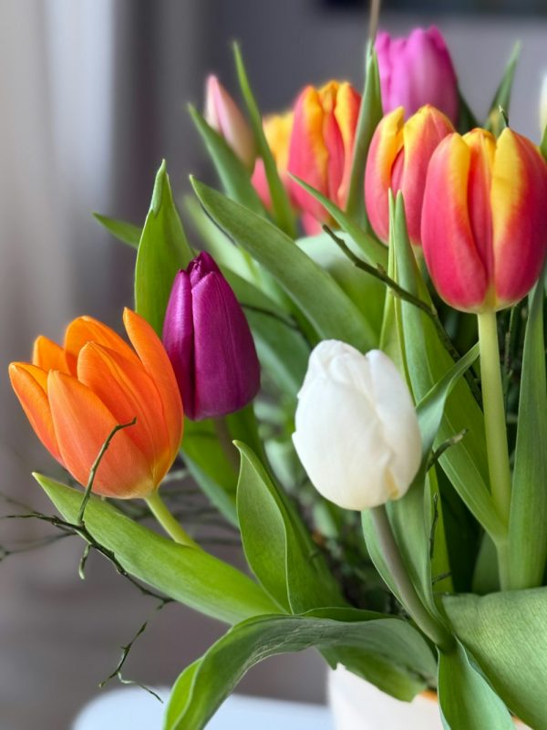 A bunch of tulips in a mix of seasonal colours.